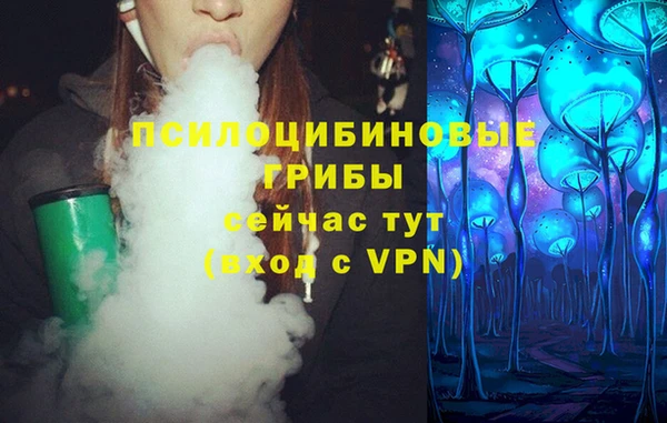 соль ск Пересвет