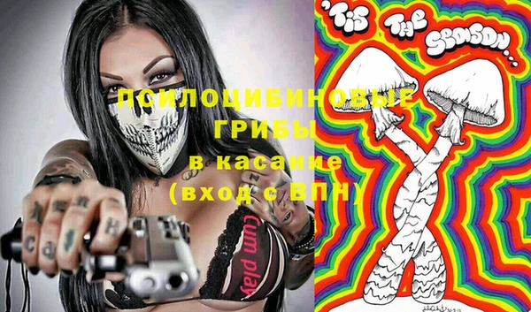 ГАЛЛЮЦИНОГЕННЫЕ ГРИБЫ Алексин