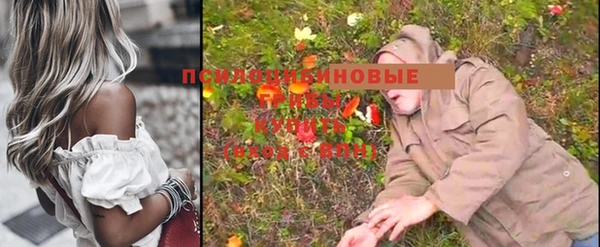 прущие крисы Алзамай