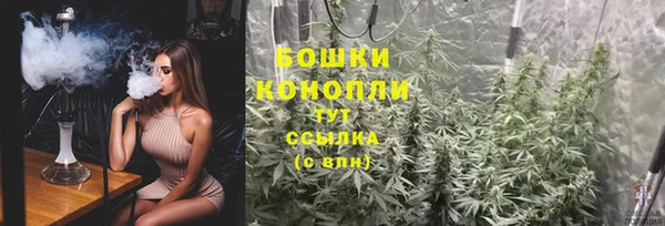 бошки Арсеньев